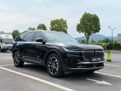 Lincoln Voyager 2.0T four-wheel drive premium version - фото 3