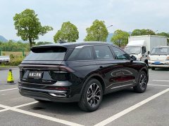 Lincoln Voyager 2.0T four-wheel drive premium version - фото 4