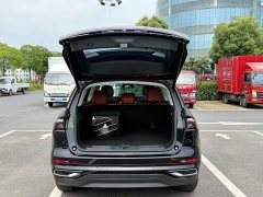 Lincoln Voyager 2.0T four-wheel drive premium version - фото 8