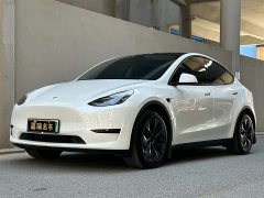 Tesla Model Y 2023 rear-wheel drive version - фото 1