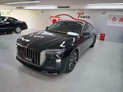 Hongqi H9 2.0T Qichang Private Fashion Edition - фото 1