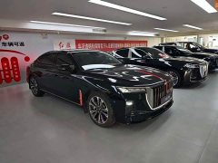 Hongqi H9 2.0T Qichang Private Fashion Edition - фото 19