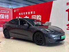 Tesla Model 3 2021 Standard Range Rear Drive Upgraded Version - фото 3