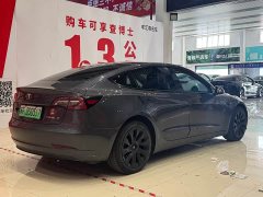 Tesla Model 3 2021 Standard Range Rear Drive Upgraded Version - фото 4