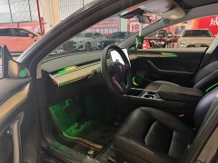 Tesla Model 3 2021 Standard Range Rear Drive Upgraded Version - фото 7