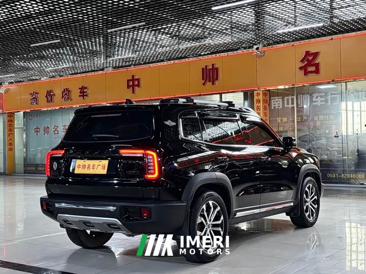 Havaldog 2.0T DCT four-wheel drive Chinese pastoral dog hunting version - автомобиль из Китая
