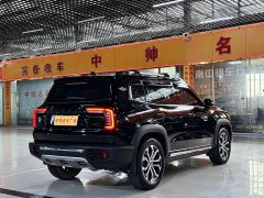 Havaldog 2.0T DCT four-wheel drive Chinese pastoral dog hunting version - фото 1