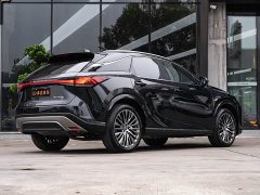 Lexus RX 2025 350h four-wheel drive premium version - фото 3