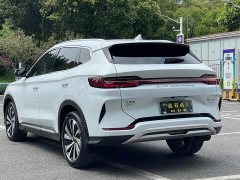 BYD Song PLUS New Energy 2023 Champion Edition DM-i 110KM Flagship - фото 5