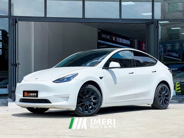 Tesla Model Y rear-wheel drive version - автомобиль из Китая