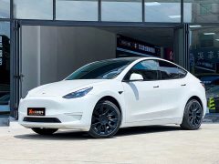 Tesla Model Y rear-wheel drive version - фото 1