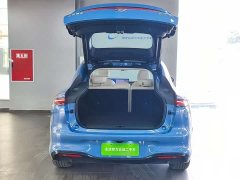Lexus Zhiji LS6 2026 Pure Electric Max - фото 13