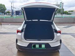 Lexus Polestar 4 2023 Dual Motor Long Range PLUS - фото 12