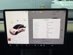 Tesla Model Y 2021 standard range rear-wheel drive version - фото 15