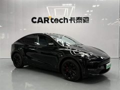 Tesla Model Y 2021 standard range rear-wheel drive version - фото 2