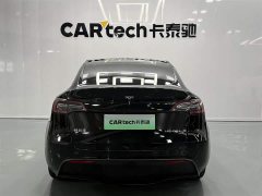 Tesla Model Y 2021 standard range rear-wheel drive version - фото 5