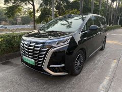 Denza D9 DM-i smart driving version 1020 four-wheel drive flagship - фото 1