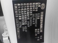 BYD Qin PLUS EV 500KM Premium - фото 11