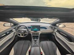 BYD Qin PLUS EV 500KM Premium - фото 13