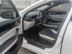BYD Qin PLUS EV 500KM Premium - фото 18