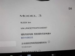 Tesla Model 3 2023 rear-wheel drive version - фото 11