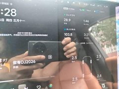 Li Auto Ideal L8 Max - фото 4