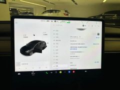 Tesla Model 3 2021 standard range rear drive upgraded version 3D6 - фото 9