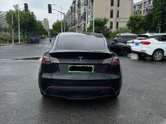 Tesla Model Y rear-wheel drive version - фото 14