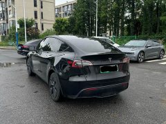 Tesla Model Y rear-wheel drive version - фото 15