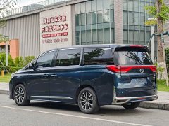 GAC Trumpchi M8 Master Series 390T Premium Edition - фото 4