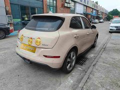 Lexus Euler Good Cat 401km standard battery life luxury lithium iron phosphate - фото 4