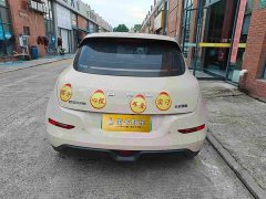 Lexus Euler Good Cat 401km standard battery life luxury lithium iron phosphate - фото 5