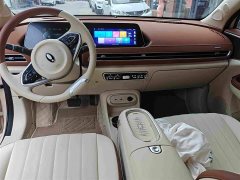 Lexus Euler Good Cat 401km standard battery life luxury lithium iron phosphate - фото 7