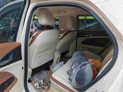 Lexus Euler Good Cat 401km standard battery life luxury lithium iron phosphate - фото 9