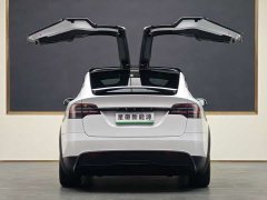 Tesla Model X 2023 dual-motor all-wheel drive version - фото 15