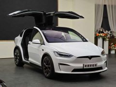 Tesla Model X 2023 dual-motor all-wheel drive version - фото 3