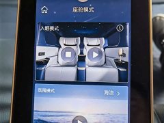 Lynk & Co Century 2.0T four-seater private version - фото 12