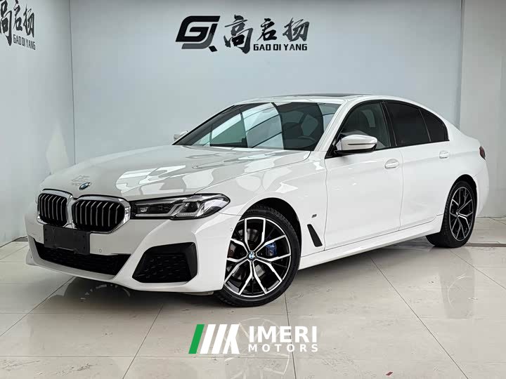 BMW 5 Series (Imported) 530i M Sport Package - автомобиль из Китая
