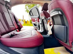 BMW 3 Series 320Li M Sports Package - фото 18