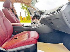 BMW 3 Series 320Li M Sports Package - фото 19