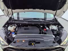 Lynk & Co Ruijie PLUS EcoBoost 245 two-wheel drive Hao Rui type 7 seats - фото 9