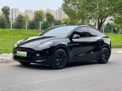 Tesla Model Y rear-wheel drive version - фото 1