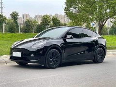 Tesla Model Y rear-wheel drive version - фото 2