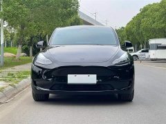 Tesla Model Y rear-wheel drive version - фото 3