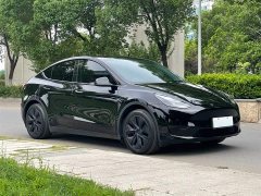 Tesla Model Y rear-wheel drive version - фото 4