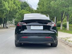 Tesla Model Y rear-wheel drive version - фото 6
