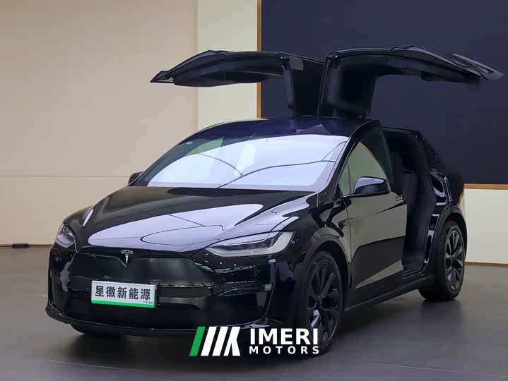 Tesla Model X dual-motor all-wheel drive version - автомобиль из Китая