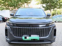 Buick Landian E5 Honor Edition 100KM Premium Type 7 Seats - фото 2