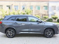 Buick Landian E5 Honor Edition 100KM Premium Type 7 Seats - фото 4