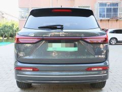 Buick Landian E5 Honor Edition 100KM Premium Type 7 Seats - фото 5